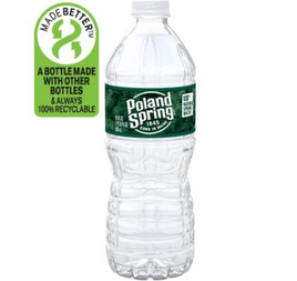 Poland Spring Water 500ml 16.9fl oz